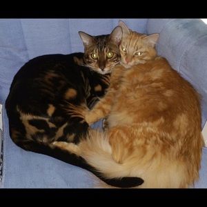 Meet your Posher, Libby